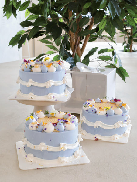 Blueberry Lemon Cream Cake - ENZE