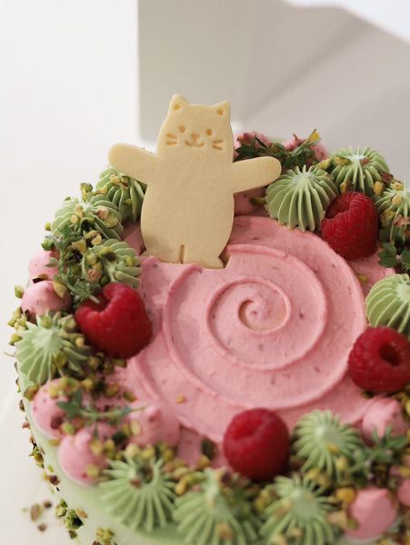 Pistachio Raspberry Cream Cake - ENZE
