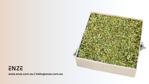Our New Pistachio Tiramisu Mini Bento