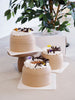 Salted Caramel & Chocolate Cream Cake - ENZE